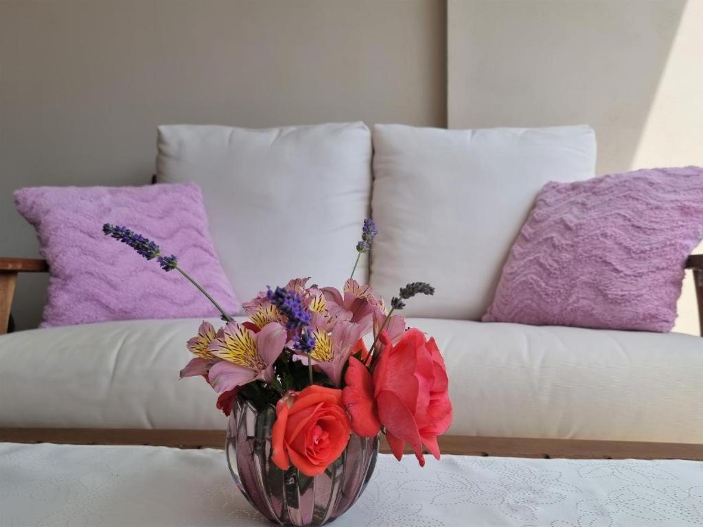 Apartments Ragusa Ровинь Экстерьер фото